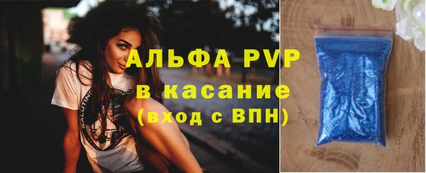 круглые Гусев