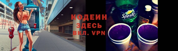 круглые Гусев