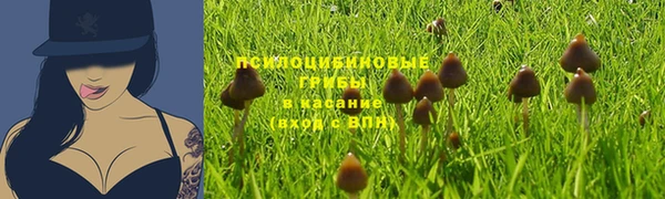 экстази Гусь-Хрустальный