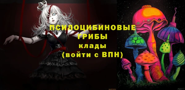 экстази Гусь-Хрустальный