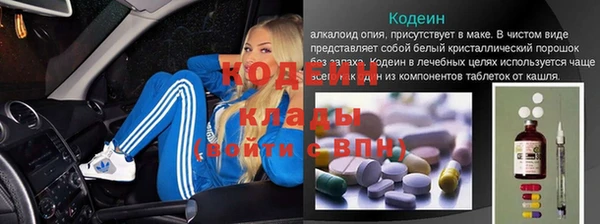 круглые Гусев