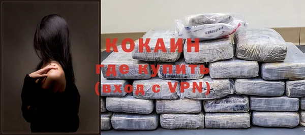 круглые Гусев