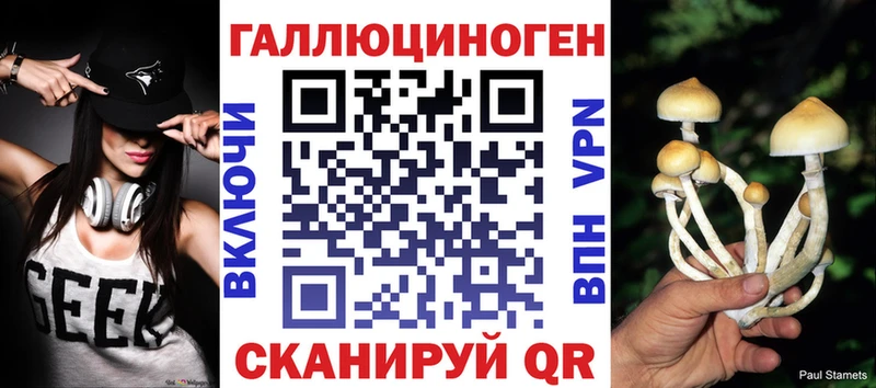 Псилоцибиновые грибы прущие грибы Дубна