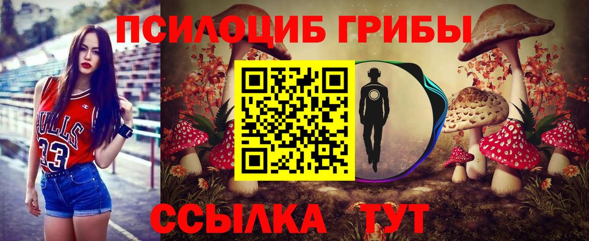 Галлюциногенные грибы прущие грибы Дубна