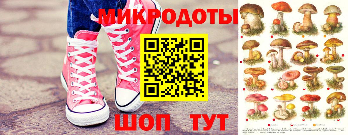 Галлюциногенные грибы MAGIC MUSHROOMS  Вход с VPN  Дубна 