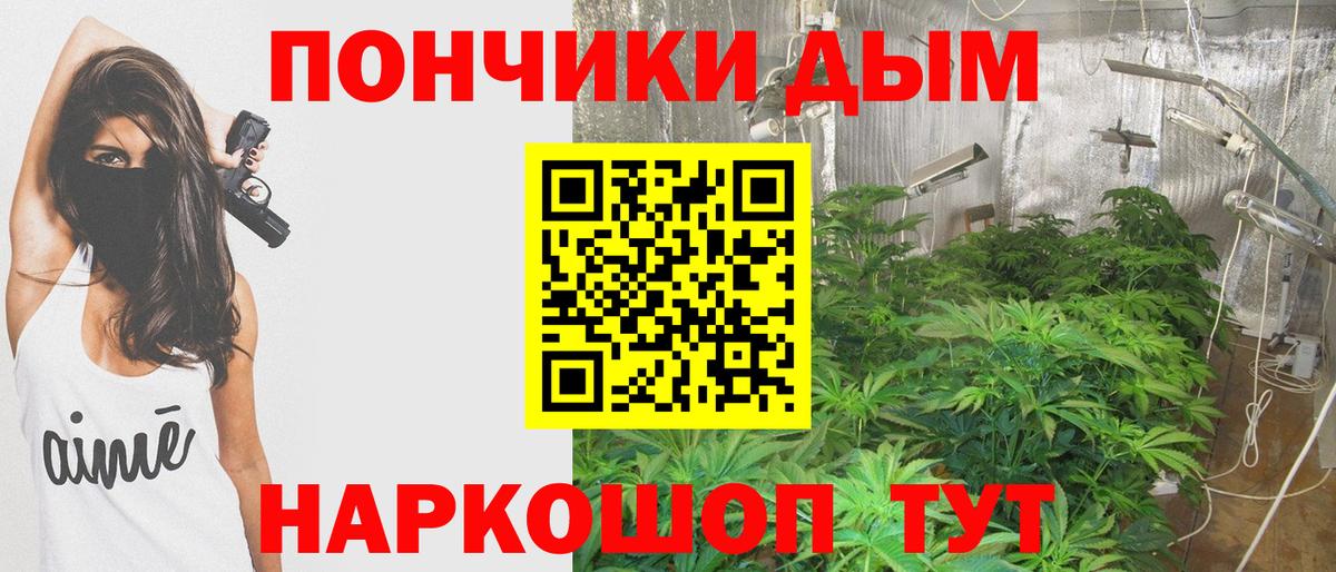 Бошки марихуана марихуана Дубна